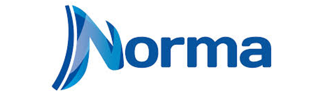 LOGO NORMA EDITORIAL